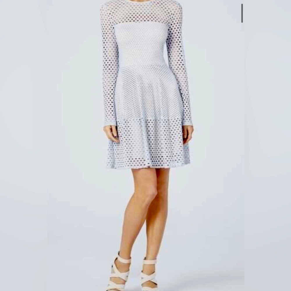 BCBGMAXAZRIA HAZE eyelet  
 LONG-SLEEVE DRESS size s